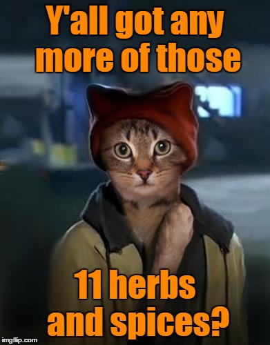 Y'all got any more of those 11 herbs and spices? | made w/ Imgflip meme maker