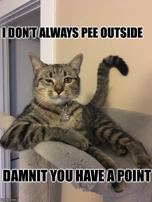 I DON’T ALWAYS PEE OUTSIDE DAMNIT YOU HAVE A POINT | made w/ Imgflip meme maker
