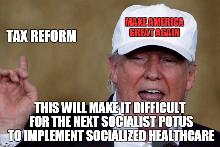 Donald Trump Blank MAGA Hat | MAKE AMERICA GREAT AGAIN THIS WILL MAKE IT DIFFICULT FOR THE NEXT SOCIALIST POTUS TO IMPLEMENT SOCIALIZED HEALTHCARE TAX REFORM | image tagged in donald trump blank maga hat | made w/ Imgflip meme maker
