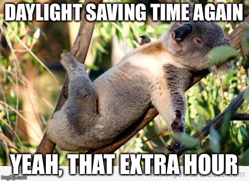 Koalaty | DAYLIGHT SAVING TIME AGAIN; YEAH, THAT EXTRA HOUR | image tagged in koalaty | made w/ Imgflip meme maker