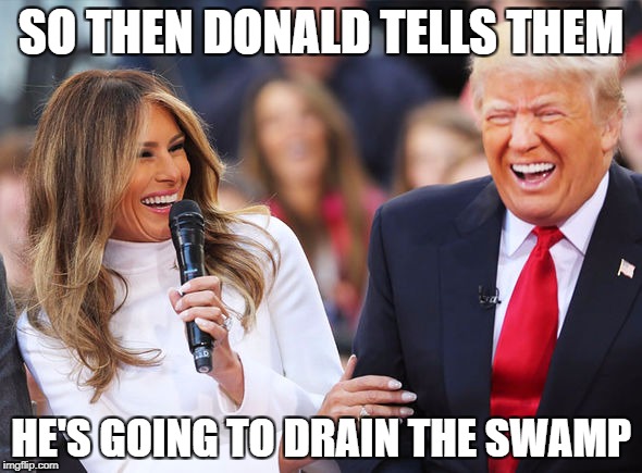 Trump laughing | SO THEN DONALD TELLS THEM; HE'S GOING TO DRAIN THE SWAMP | image tagged in trump laughing | made w/ Imgflip meme maker