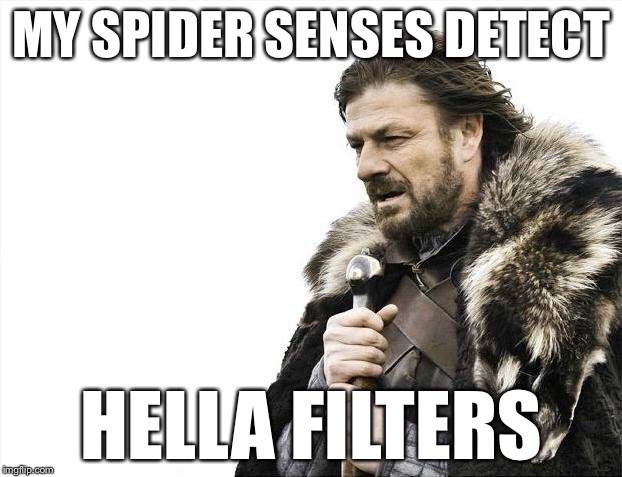 Brace Yourselves X is Coming Meme | MY SPIDER SENSES DETECT HELLA FILTERS | image tagged in memes,brace yourselves x is coming | made w/ Imgflip meme maker