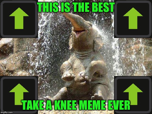 Upvote Elephant | THIS IS THE BEST TAKE A KNEE MEME EVER | image tagged in upvote elephant | made w/ Imgflip meme maker