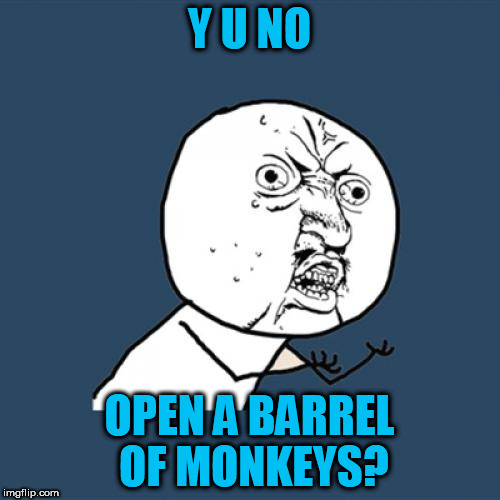 Y U No Meme | Y U NO OPEN A BARREL OF MONKEYS? | image tagged in memes,y u no | made w/ Imgflip meme maker