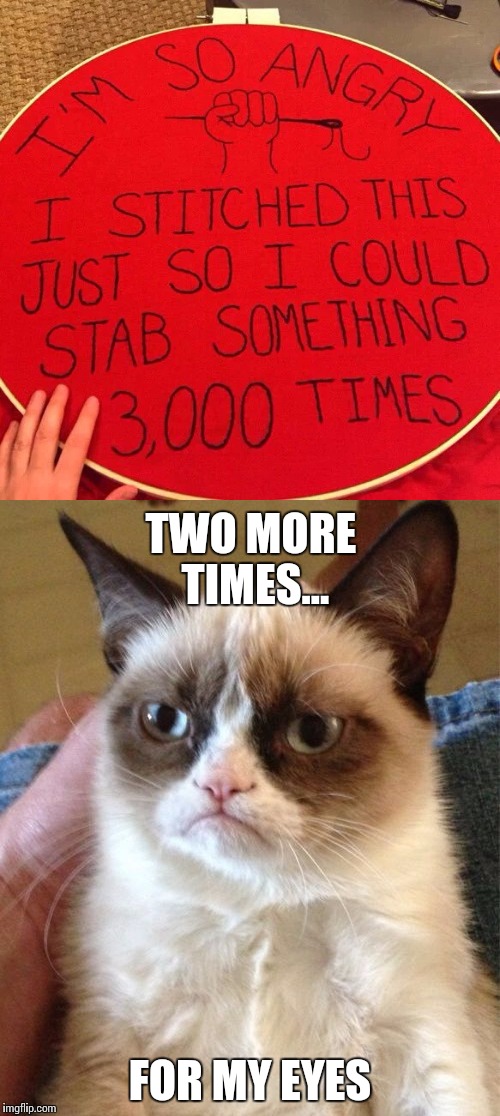 Leaving me in stitches | TWO MORE TIMES... FOR MY EYES | image tagged in grumpy cat,stitching | made w/ Imgflip meme maker