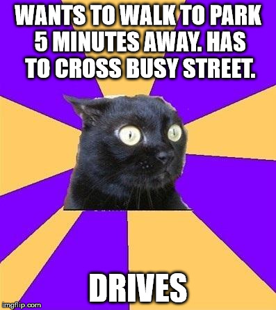 anxiety cat | WANTS TO WALK TO PARK 5 MINUTES AWAY. HAS TO CROSS BUSY STREET. DRIVES | image tagged in anxiety cat | made w/ Imgflip meme maker