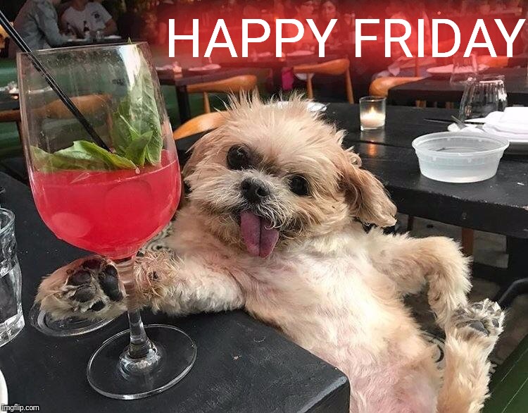 It's five O'clock somewhere... | HAPPY FRIDAY | image tagged in memes,derpy,dogs,happy hour,cocktails,bottoms up | made w/ Imgflip meme maker