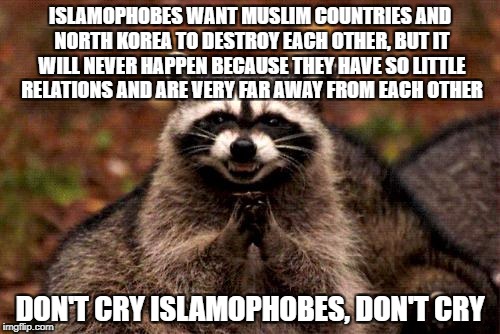 Evil Plotting Raccoon Meme | ISLAMOPHOBES WANT MUSLIM COUNTRIES AND NORTH KOREA TO DESTROY EACH OTHER, BUT IT WILL NEVER HAPPEN BECAUSE THEY HAVE SO LITTLE RELATIONS AND ARE VERY FAR AWAY FROM EACH OTHER; DON'T CRY ISLAMOPHOBES, DON'T CRY | image tagged in memes,evil plotting raccoon,islamophobia,muslim,muslims,north korea | made w/ Imgflip meme maker