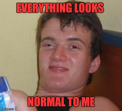 10 Guy Meme | EVERYTHING LOOKS NORMAL TO ME | image tagged in memes,10 guy | made w/ Imgflip meme maker