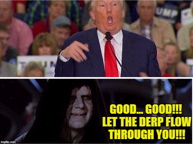 Let the derp flow...  | GOOD... GOOD!!! LET THE DERP FLOW THROUGH YOU!!! | image tagged in emporer palpatine,donald trump | made w/ Imgflip meme maker