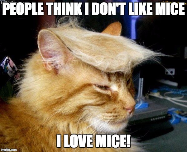 donald trump cat | PEOPLE THINK I DON'T LIKE MICE; I LOVE MICE! | image tagged in donald trump cat | made w/ Imgflip meme maker