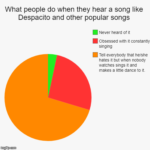 Me and everybody else in a nutshell. | image tagged in funny,pie charts,despacito,memes | made w/ Imgflip chart maker