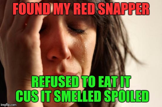 First World Problems Meme | FOUND MY RED SNAPPER REFUSED TO EAT IT CUS IT SMELLED SPOILED | image tagged in memes,first world problems | made w/ Imgflip meme maker