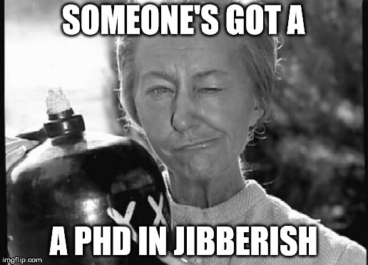 Granny Clampett | SOMEONE'S GOT A; A PHD IN JIBBERISH | image tagged in granny clampett | made w/ Imgflip meme maker