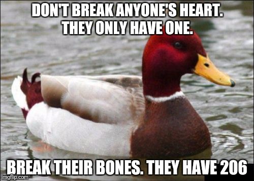 Malicious Advice Mallard Meme | DON'T BREAK ANYONE'S HEART. THEY ONLY HAVE ONE. BREAK THEIR BONES. THEY HAVE 206 | image tagged in memes,malicious advice mallard | made w/ Imgflip meme maker