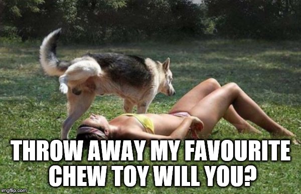 Dog Pees on Girl | THROW AWAY MY FAVOURITE CHEW TOY WILL YOU? | image tagged in dog pees on girl | made w/ Imgflip meme maker
