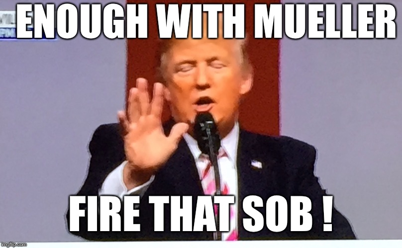 A year is long enough. End the witch huht. | ENOUGH WITH MUELLER; FIRE THAT SOB ! | image tagged in trump no bs,end it now,potus,bye mule,funny meme | made w/ Imgflip meme maker