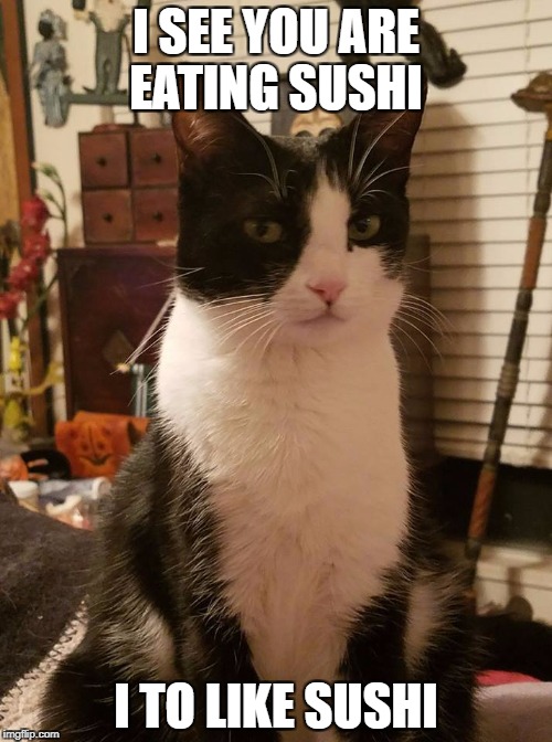 I SEE YOU ARE EATING SUSHI; I TO LIKE SUSHI | image tagged in cat,sushi | made w/ Imgflip meme maker