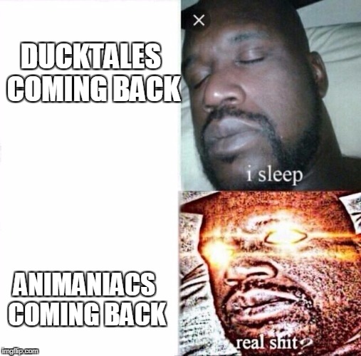 Sleeping Shaq Meme | DUCKTALES COMING BACK; ANIMANIACS COMING BACK | image tagged in i sleep,real shit | made w/ Imgflip meme maker