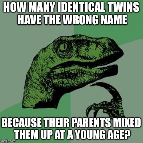 Naming twins | HOW MANY IDENTICAL TWINS HAVE THE WRONG NAME; BECAUSE THEIR PARENTS MIXED THEM UP AT A YOUNG AGE? | image tagged in memes,philosoraptor,twins | made w/ Imgflip meme maker