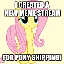 interested fluttershy | I CREATED A NEW MEME STREAM; FOR PONY SHIPPING! | image tagged in interested fluttershy | made w/ Imgflip meme maker