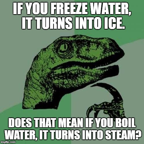 Philosoraptor Meme | IF YOU FREEZE WATER, IT TURNS INTO ICE. DOES THAT MEAN IF YOU BOIL WATER, IT TURNS INTO STEAM? | image tagged in memes,philosoraptor | made w/ Imgflip meme maker