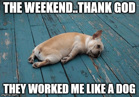 Dog Tired | THE WEEKEND..THANK GOD; THEY WORKED ME LIKE A DOG | image tagged in weekend,dog tired | made w/ Imgflip meme maker