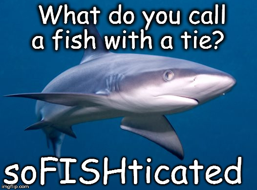 Sharks Jokes | What do you call a fish with a tie? soFISHticated | image tagged in memes,funny memes,shark,jokes | made w/ Imgflip meme maker