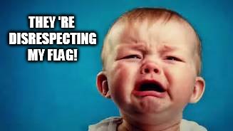 WAHHHH!!!!!! | THEY 'RE DISRESPECTING MY FLAG! | image tagged in crybaby | made w/ Imgflip meme maker