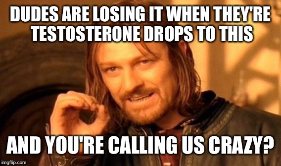 One Does Not Simply Meme | DUDES ARE LOSING IT WHEN THEY'RE TESTOSTERONE DROPS TO THIS AND YOU'RE CALLING US CRAZY? | image tagged in memes,one does not simply | made w/ Imgflip meme maker