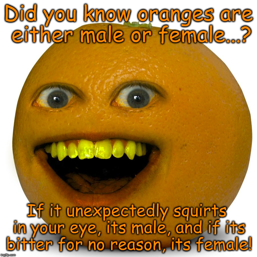 Citrus Facts (jokes!) | Did you know oranges are either male or female...? If it unexpectedly squirts in your eye, its male, and if its bitter for no reason, its female! | image tagged in orange,annoying orange,sexist,sexist humor,sexism | made w/ Imgflip meme maker
