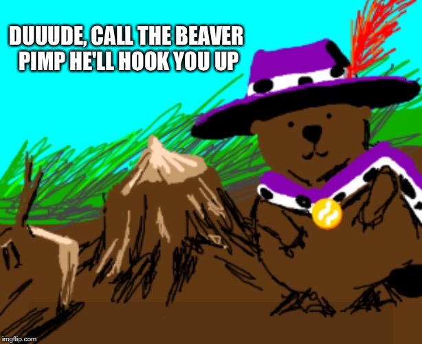 DUUUDE, CALL THE BEAVER PIMP HE'LL HOOK YOU UP | made w/ Imgflip meme maker