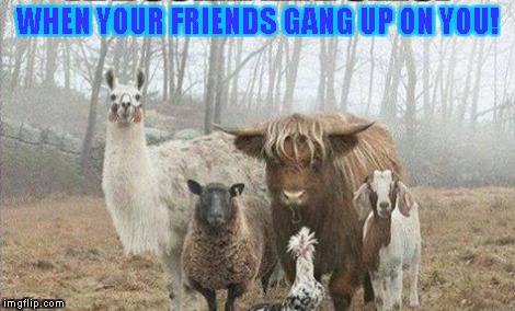 WHEN YOUR FRIENDS GANG UP ON YOU! | made w/ Imgflip meme maker