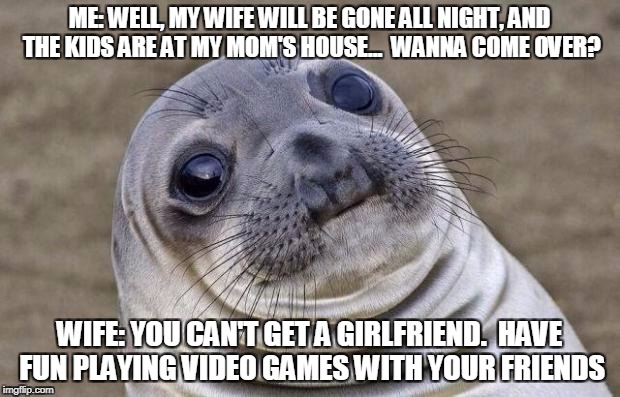 Awkward Moment Sealion Meme | ME: WELL, MY WIFE WILL BE GONE ALL NIGHT, AND THE KIDS ARE AT MY MOM'S HOUSE...  WANNA COME OVER? WIFE: YOU CAN'T GET A GIRLFRIEND.  HAVE FUN PLAYING VIDEO GAMES WITH YOUR FRIENDS | image tagged in memes,awkward moment sealion | made w/ Imgflip meme maker