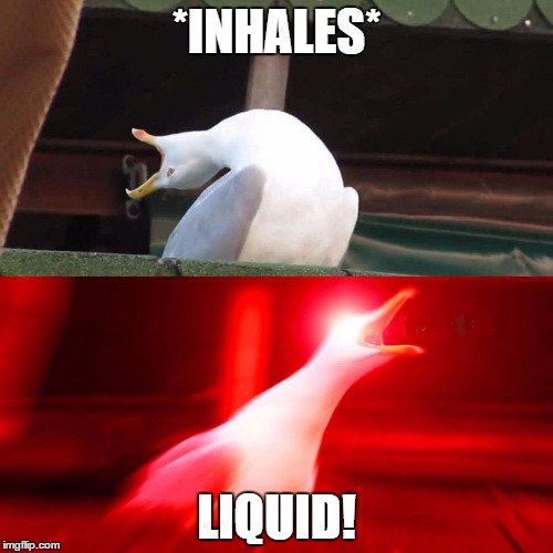 Solid Seagull | *INHALES*; LIQUID! | image tagged in inhaling seagull,mgs,metal gear solid,solid snake,liquid snake | made w/ Imgflip meme maker