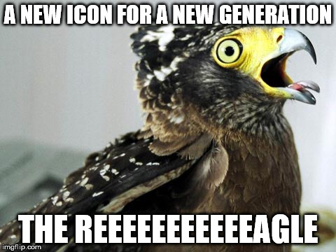 A NEW ICON FOR A NEW GENERATION; THE REEEEEEEEEEEAGLE | image tagged in reeeeeeagle | made w/ Imgflip meme maker