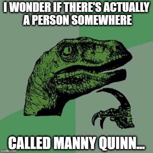 Philosoraptor | I WONDER IF THERE'S ACTUALLY A PERSON SOMEWHERE; CALLED MANNY QUINN... | image tagged in memes,philosoraptor | made w/ Imgflip meme maker