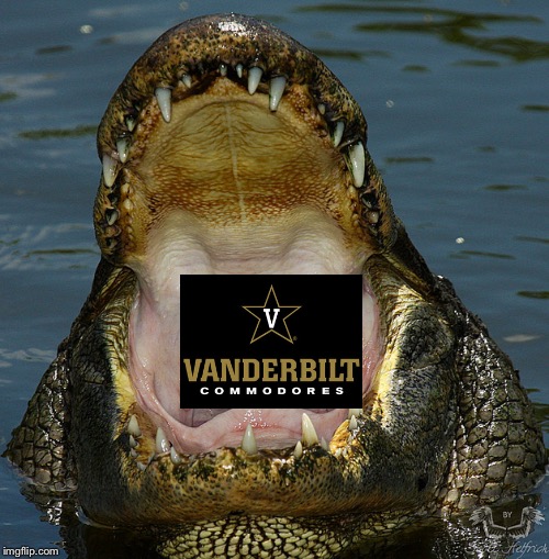 image tagged in alligator,ncaa | made w/ Imgflip meme maker