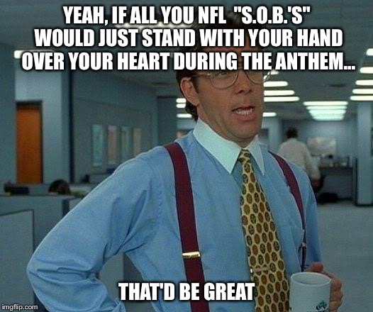 That Would Be Great Meme | YEAH, IF ALL YOU NFL  "S.O.B.'S" WOULD JUST STAND WITH YOUR HAND OVER YOUR HEART DURING THE ANTHEM... THAT'D BE GREAT | image tagged in memes,that would be great | made w/ Imgflip meme maker