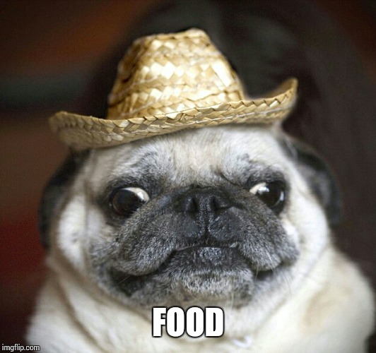 pug life | FOOD | image tagged in pug life | made w/ Imgflip meme maker