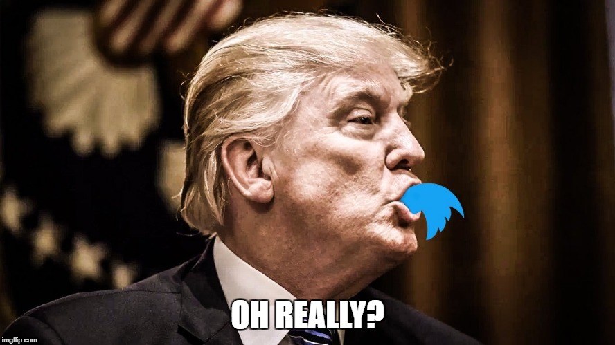 Trump Twitter | OH REALLY? | image tagged in trump twitter | made w/ Imgflip meme maker