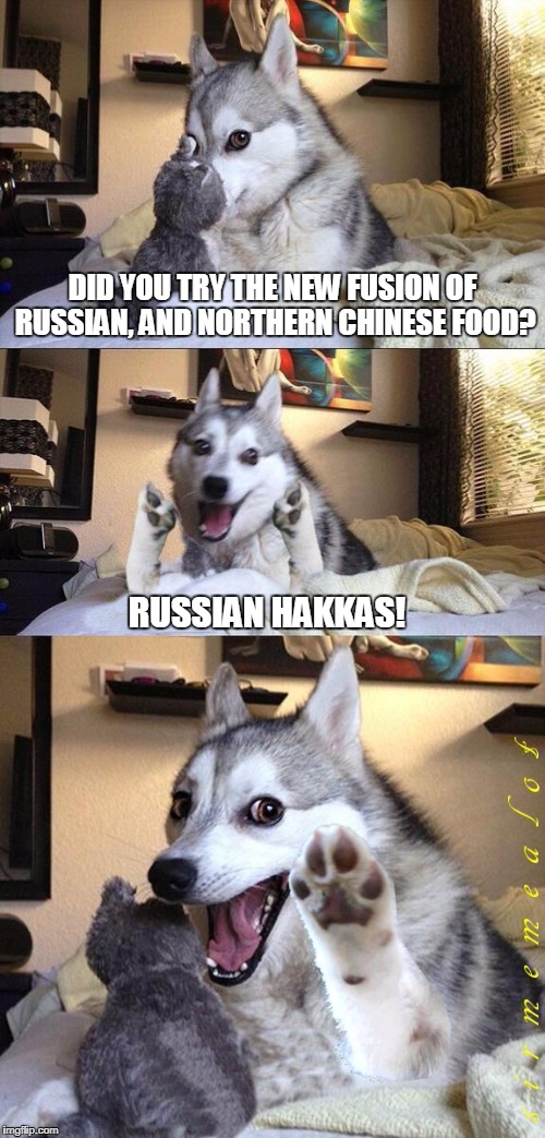 Bad Pun Dog | DID YOU TRY THE NEW FUSION OF RUSSIAN, AND NORTHERN CHINESE FOOD? RUSSIAN HAKKAS! | image tagged in bad pun dog aliens zinger,bad pun dog,memes,russia,hakka,custom template | made w/ Imgflip meme maker