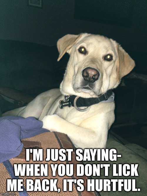 I'M JUST SAYING-  WHEN YOU DON'T LICK ME BACK, IT'S HURTFUL. | image tagged in dogmemes,deep thoughts,intenseconversations | made w/ Imgflip meme maker