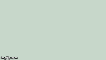 image tagged in gifs | made w/ Imgflip images-to-gif maker