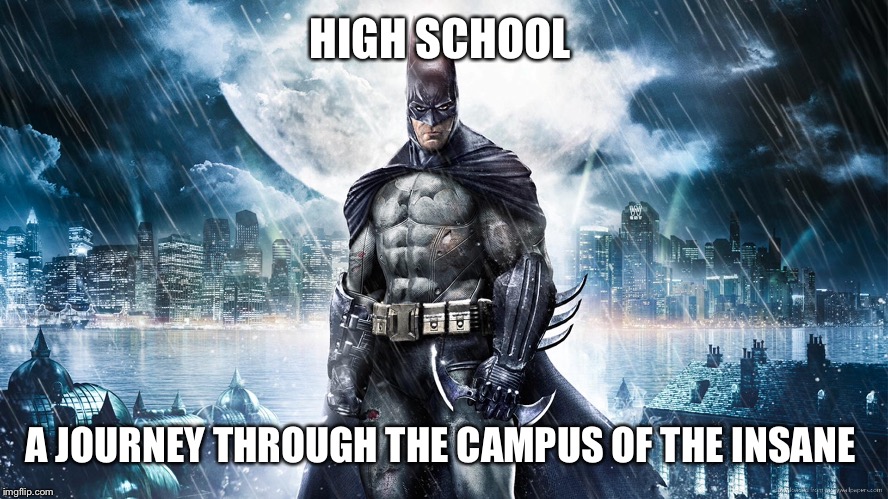 Welcome To High School. Coming 2018. | HIGH SCHOOL; A JOURNEY THROUGH THE CAMPUS OF THE INSANE | image tagged in video game,high school,coming out | made w/ Imgflip meme maker