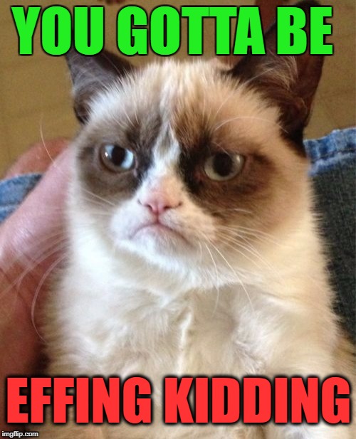 Grumpy Cat Meme | YOU GOTTA BE EFFING KIDDING | image tagged in memes,grumpy cat | made w/ Imgflip meme maker