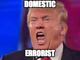 Trump: Domestic Errorist | DOMESTIC; ERRORIST | image tagged in trump yelling | made w/ Imgflip meme maker