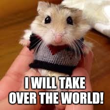 evil hamster | I WILL TAKE OVER THE WORLD! | image tagged in hamster,funny,pets | made w/ Imgflip meme maker