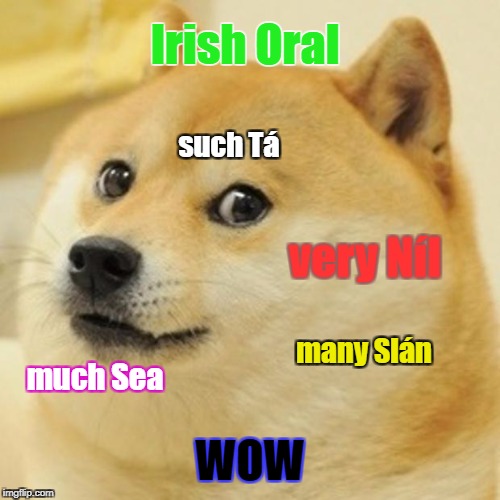 Doge Meme | Irish Oral; such Tá; very Níl; many Slán; much Sea; WOW | image tagged in memes,doge | made w/ Imgflip meme maker