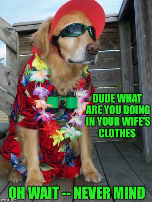 DUDE WHAT ARE YOU DOING IN YOUR WIFE'S CLOTHES OH WAIT -- NEVER MIND | made w/ Imgflip meme maker